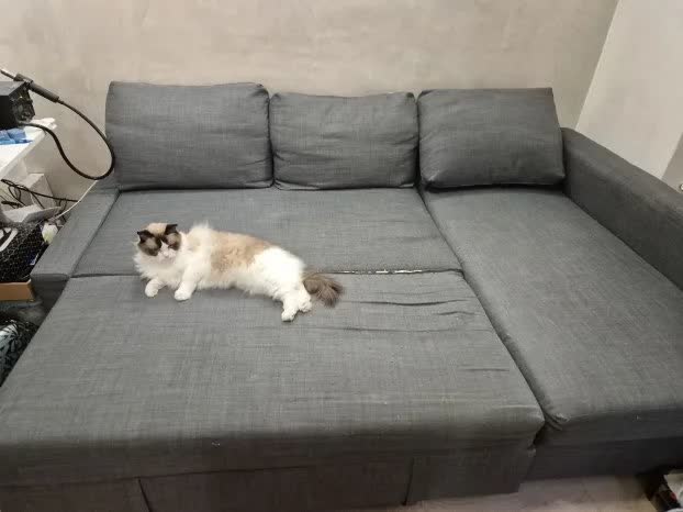 IKEA FRIHETEN sofa