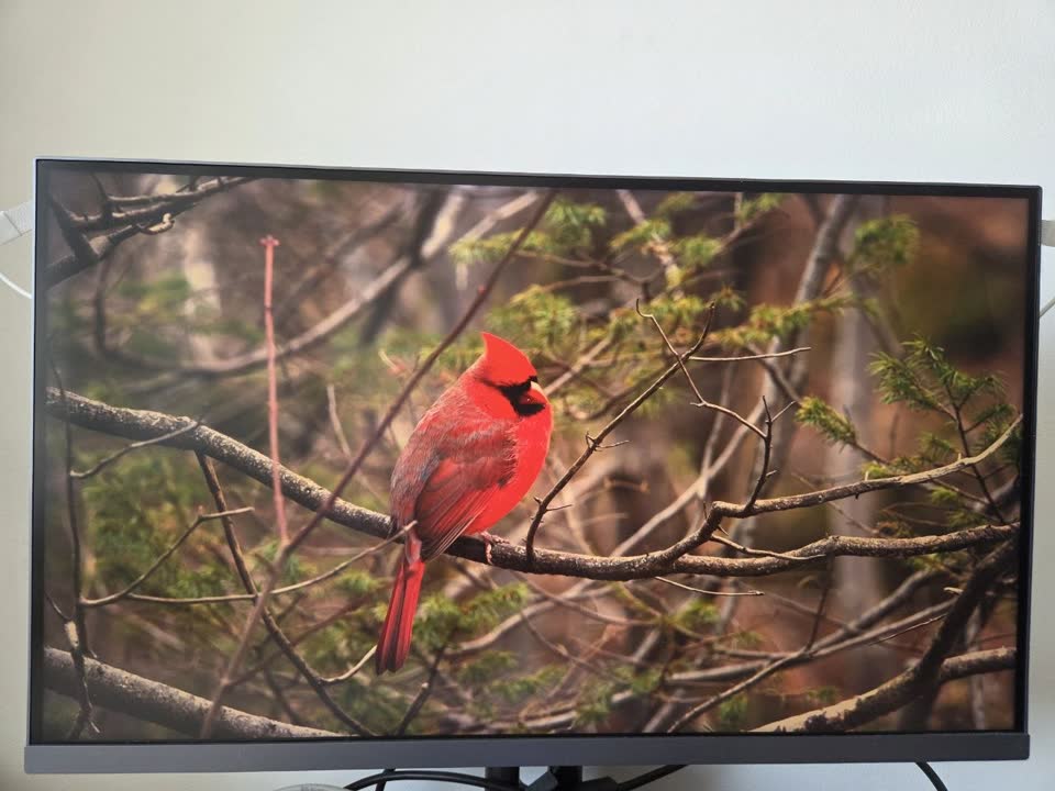 Xiaomi Mi 4K Monitor 27"