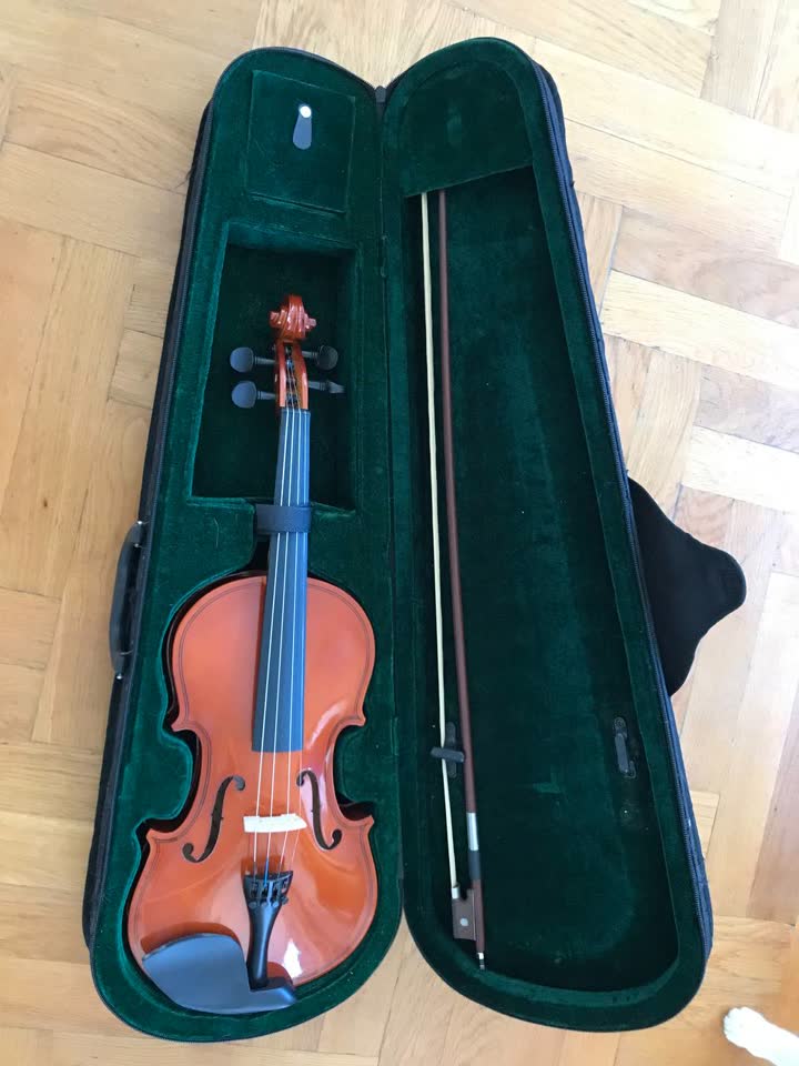 Prodajem violinu firefeel u futroli