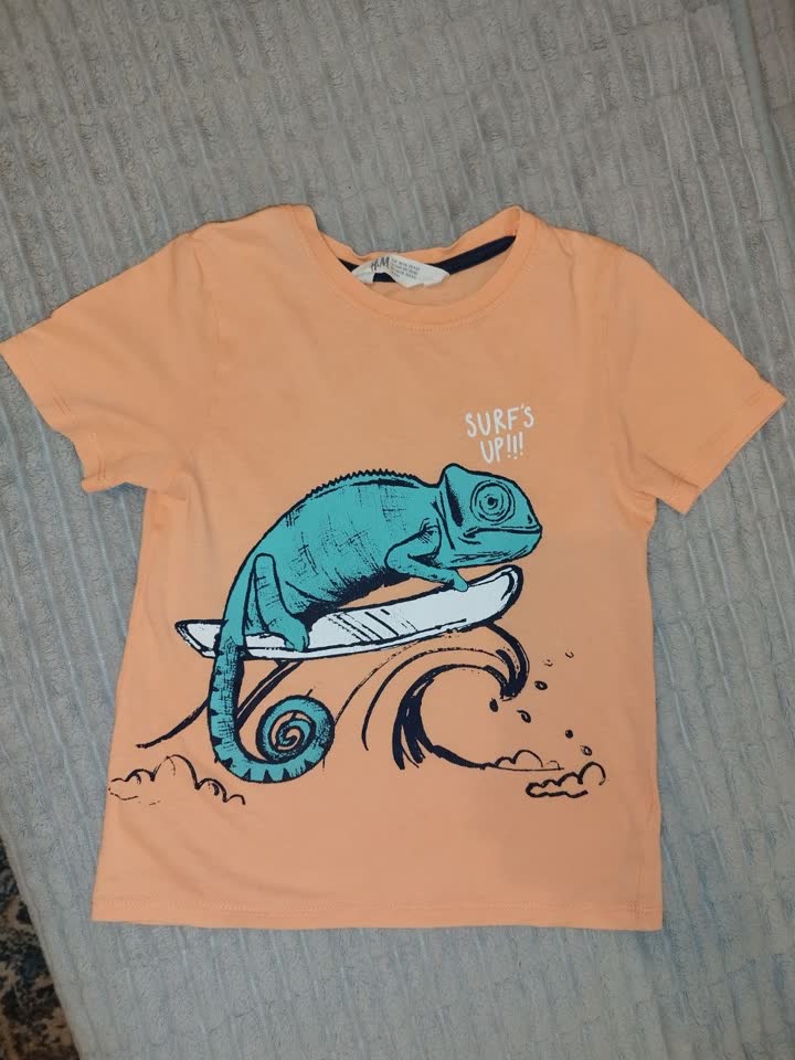 Футболки h&m, Waikiki. Р.110-116 (5-6 лет). По 300 дин. Big Fashion, бываю в других районах