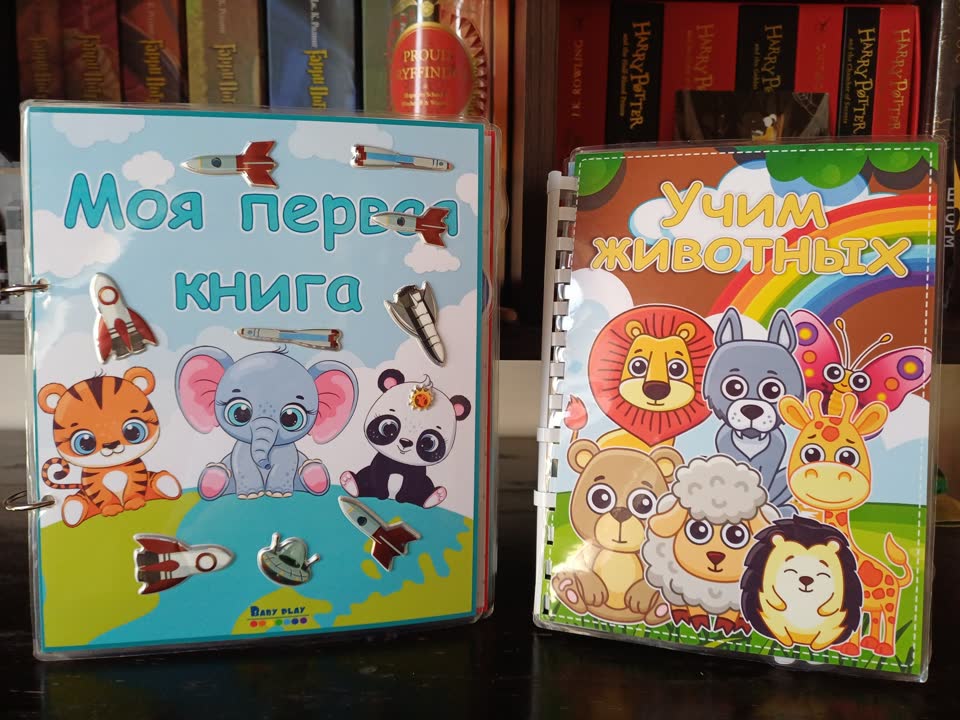 Knjige na čičak, konstruktor Mega Blocks Green Town, mačak Findus
