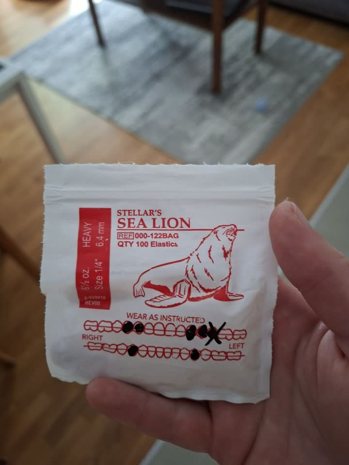 Poklanjam skoro punu pakovanje gumica za protezu