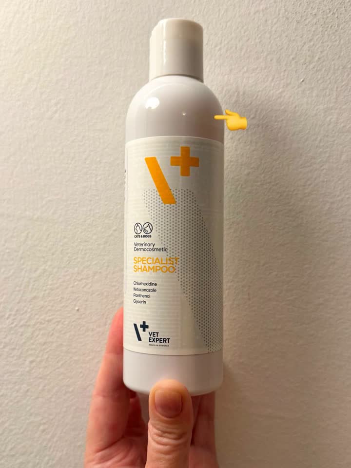 Antibakterijski i antigljivični dermatološki šampon VetExpert Specialist Shampoo