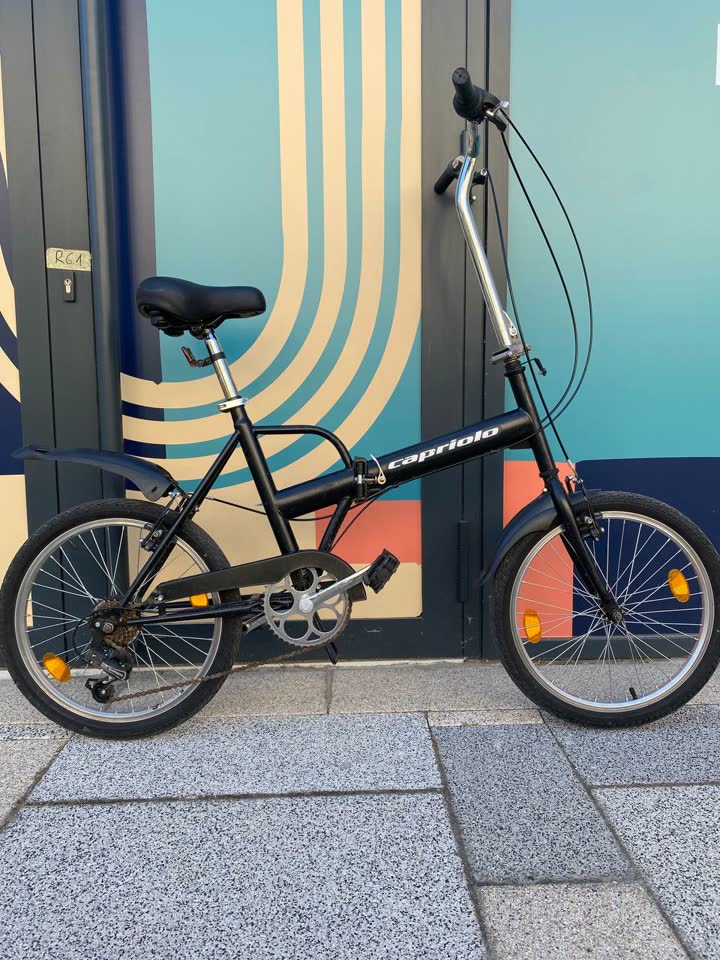 Velik sklopivi 20”