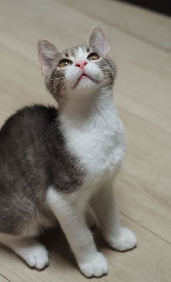 Đovani, 4 meseca
