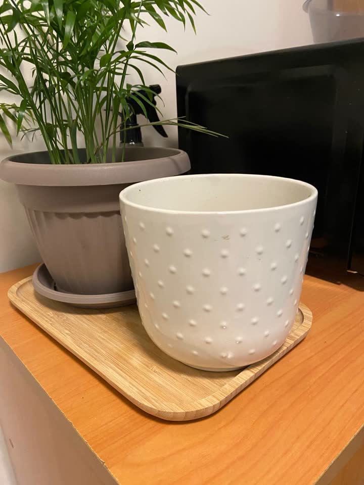 Keramička saksija 13x13