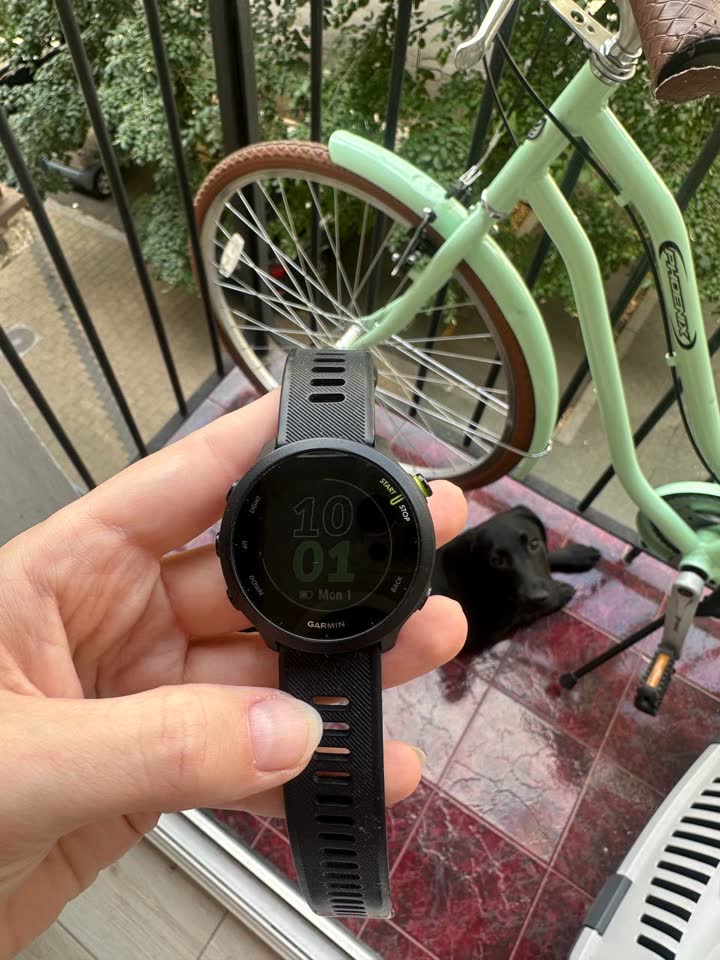 Часы Garmin Forerunner 55