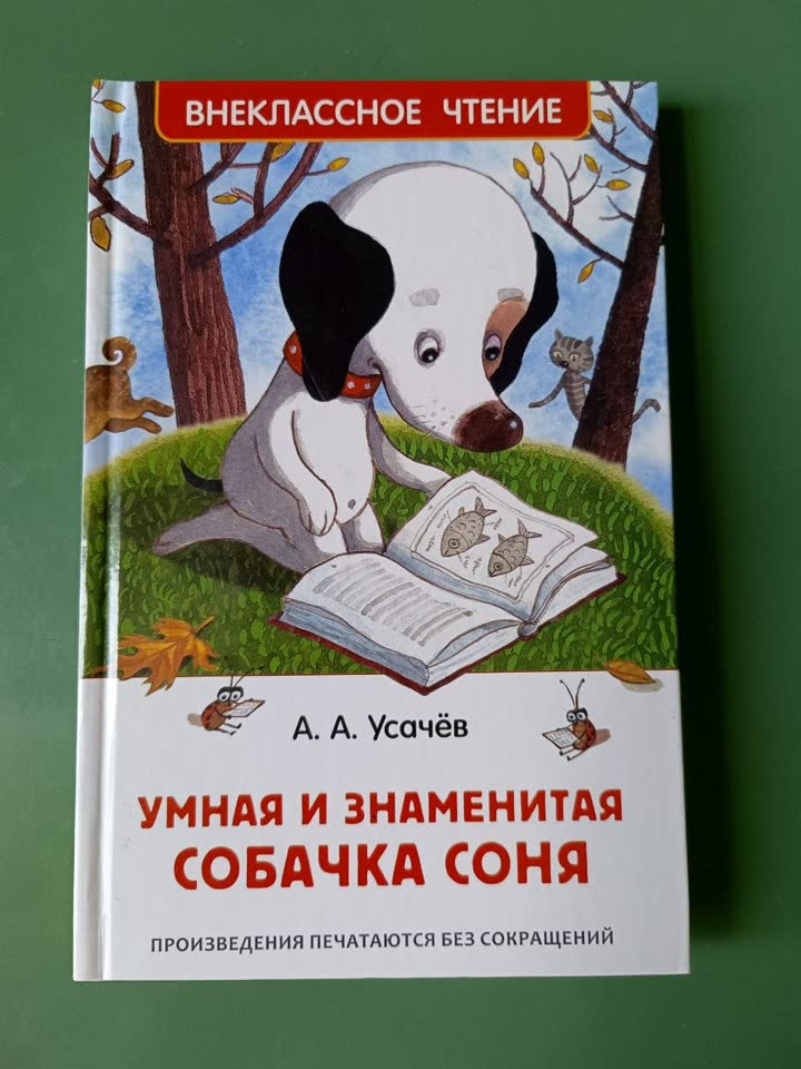 Истории про собачку Соню