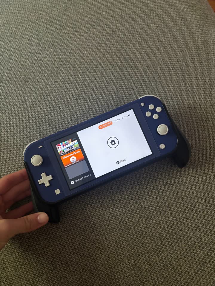 Nintendo Switch Lite
