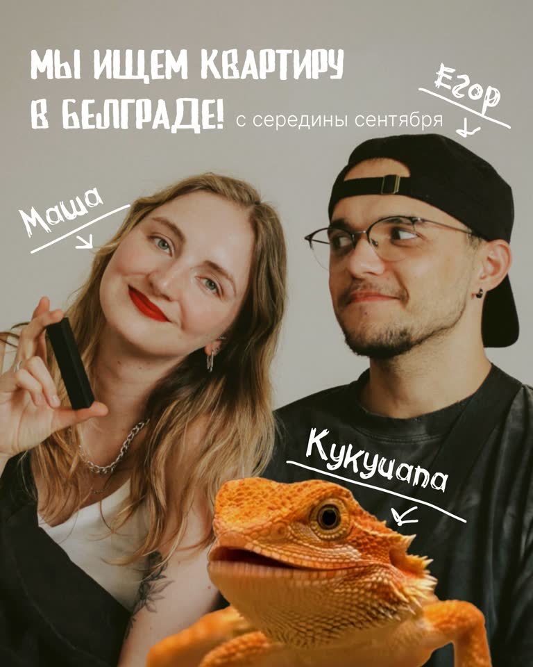 Сниму квартиру в Белграде на долгий срок