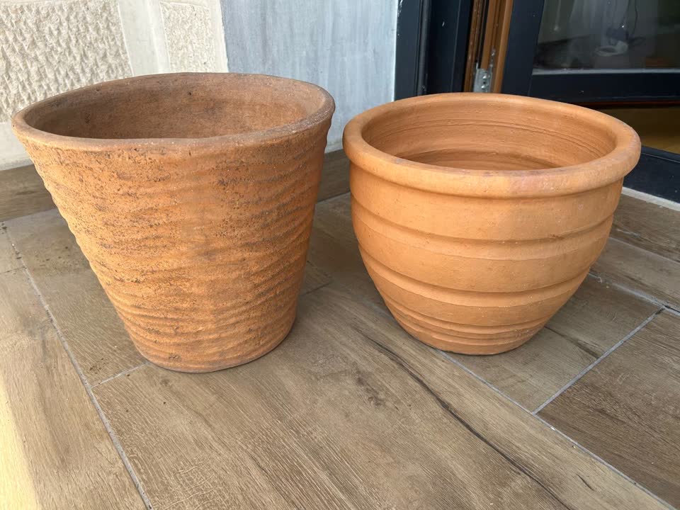 Saksije i žardinjere