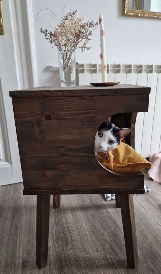 тумба-котодомик - 5000 дин