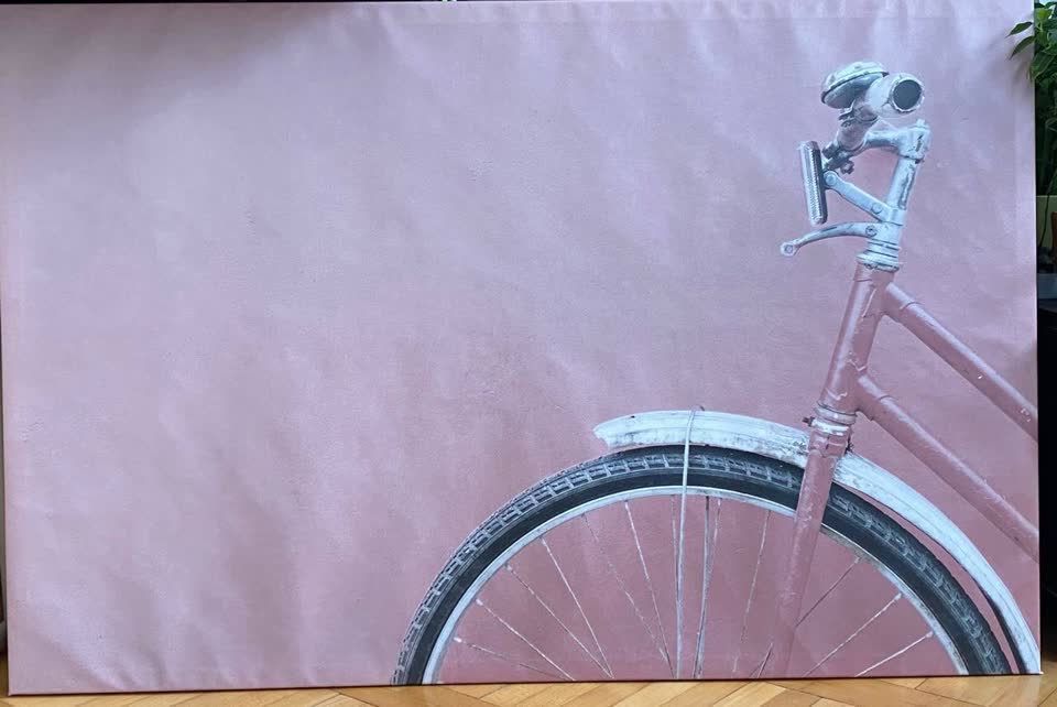 1) IKEA slika BJÖRKSTA u aluminijumskom ramu. 118x78 cm.