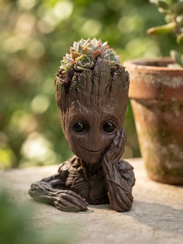 Mini saksija nova Groot, sukulent kao primer 1000 dinara. Novi Sad