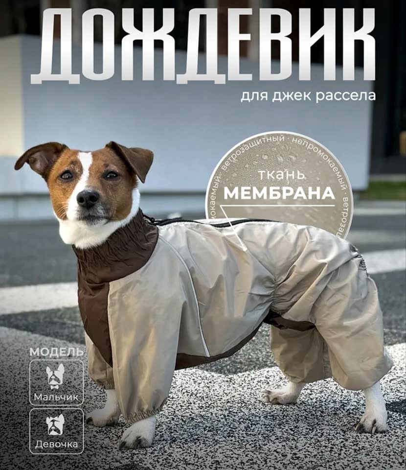 Дождевик LION PETS для джек-рассела, мальчика