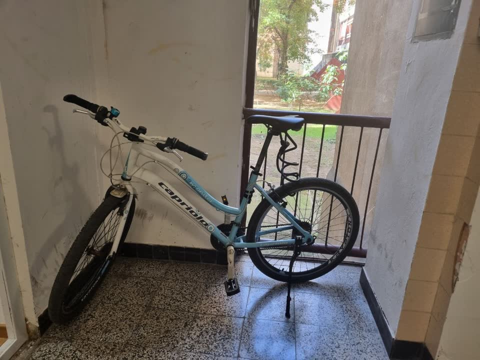 Велосипед Capriolo Monitor Lady MTB