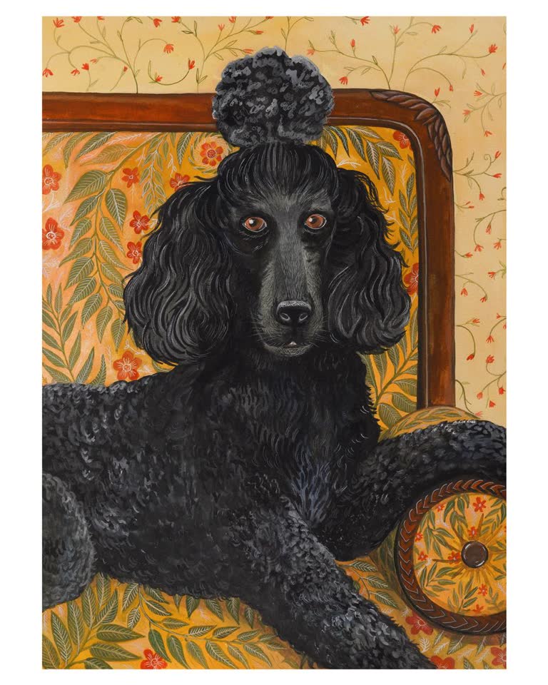 Portret crnog pudla
