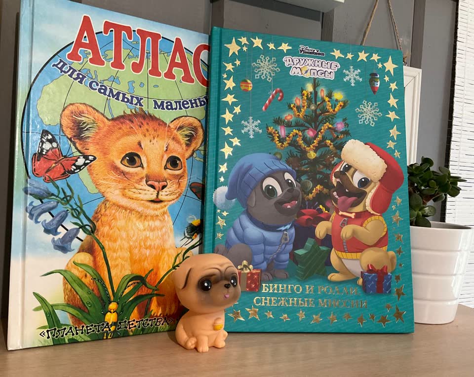 Две книги комплектом. Отличное состояние. Яркие и интересные. 600 rsd и новая игрушка-мопс в