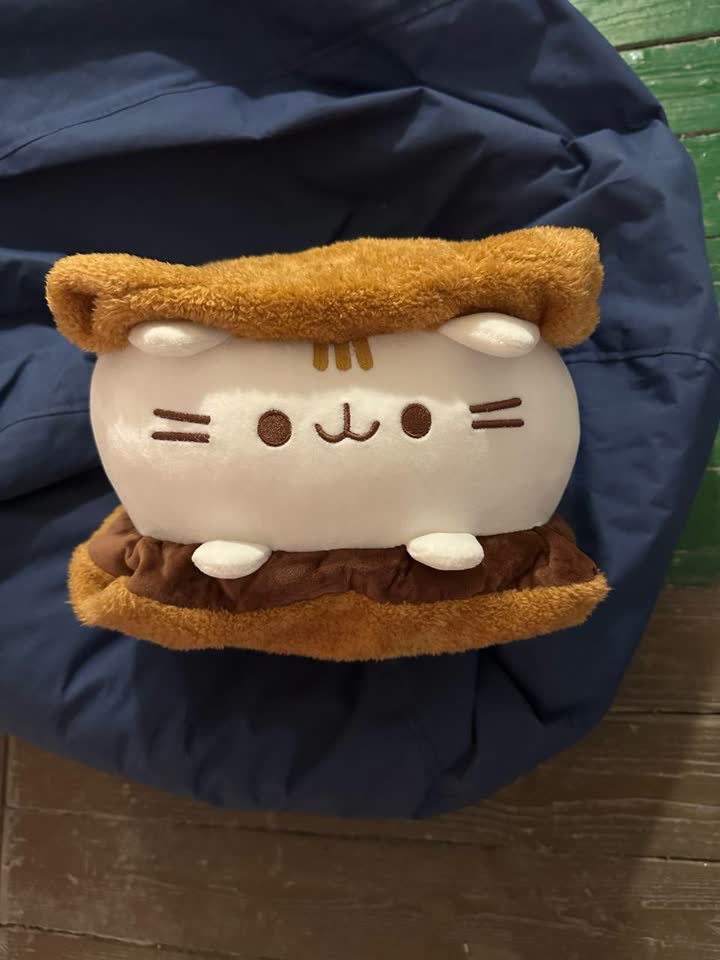 Mekana jastuk-igračka Pusheen