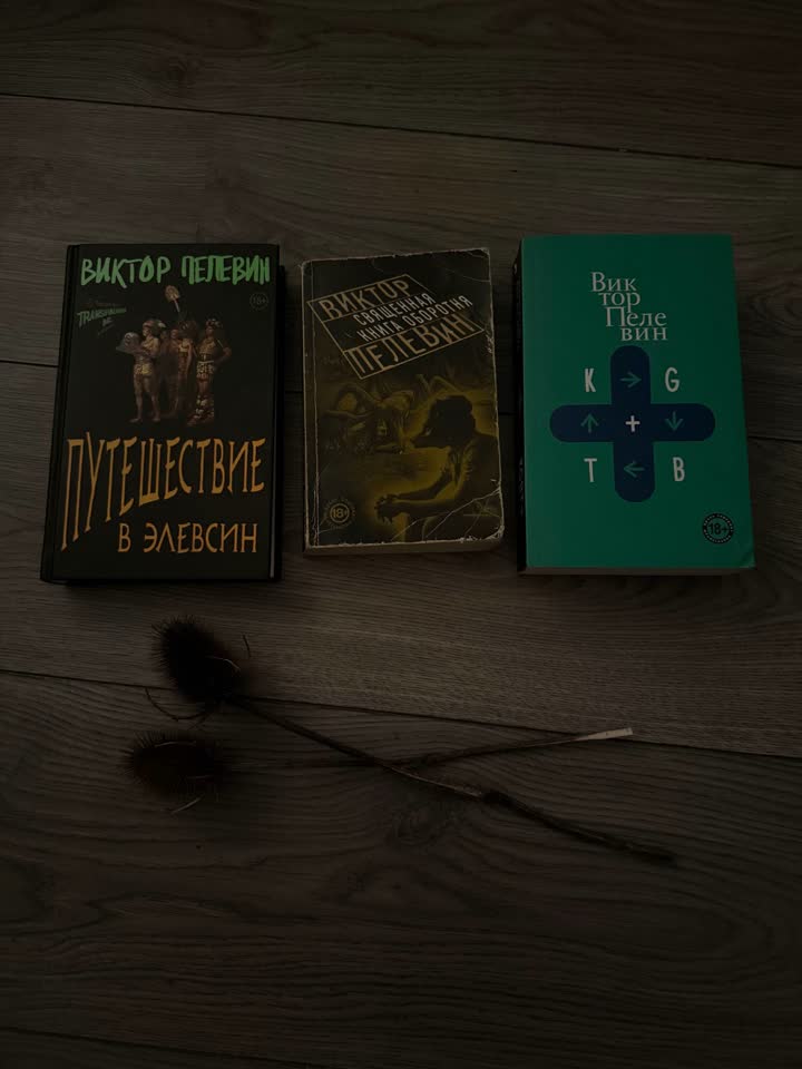 Виктор Пелевин: Путешествие в Элевсин, Священная книга оборотня, KGBT