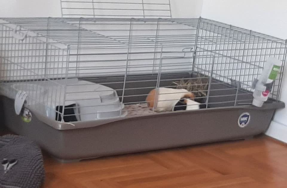 Продаю клетку 120*64*47см