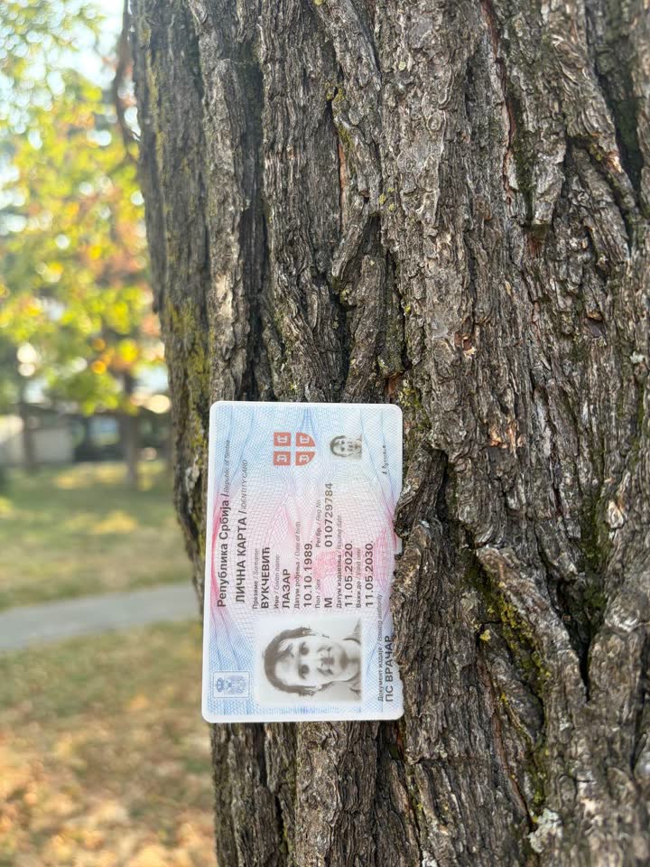 В Ташмайдан парке в дереве напротив ev