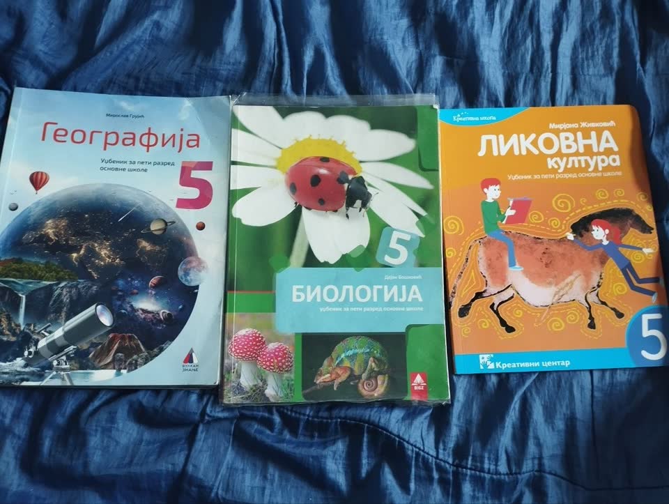 Учебники и прописи для школы