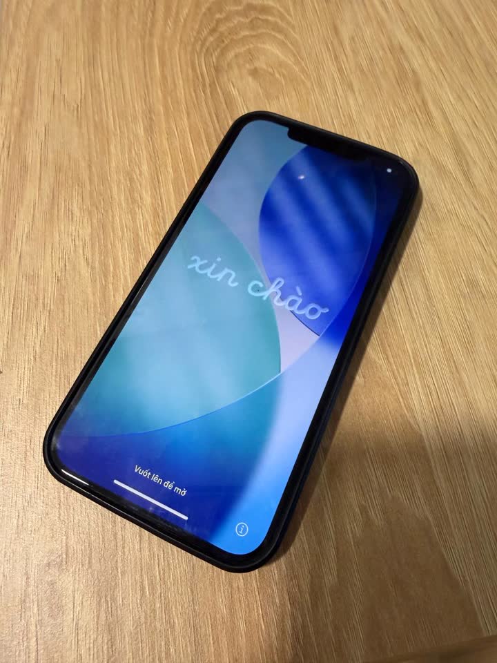 iPhone 12 Pro Max 256GB