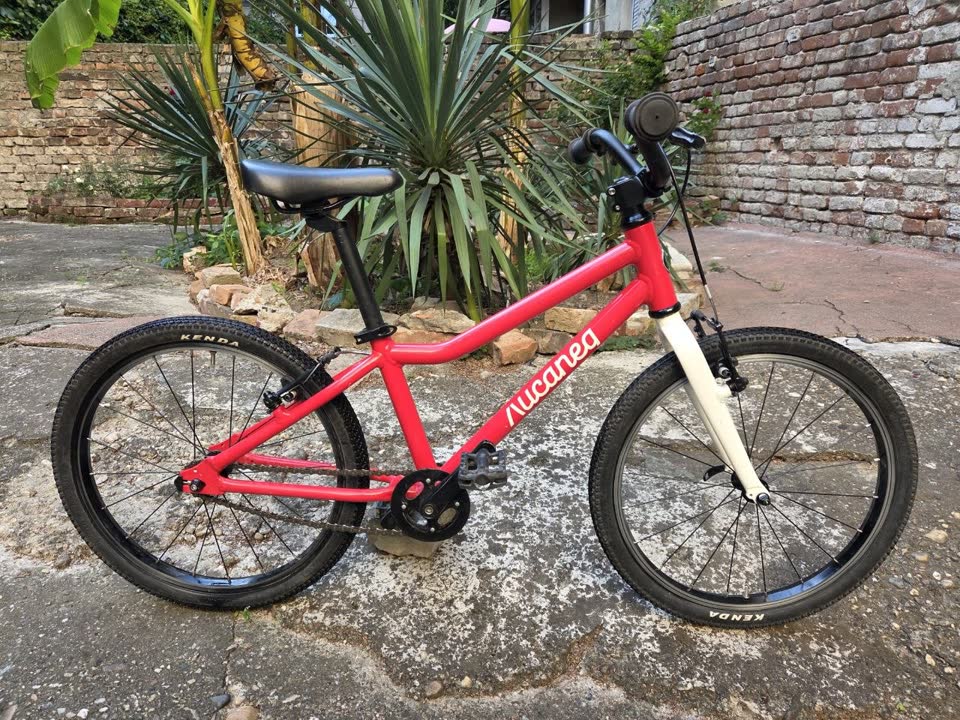 Лисапед 20