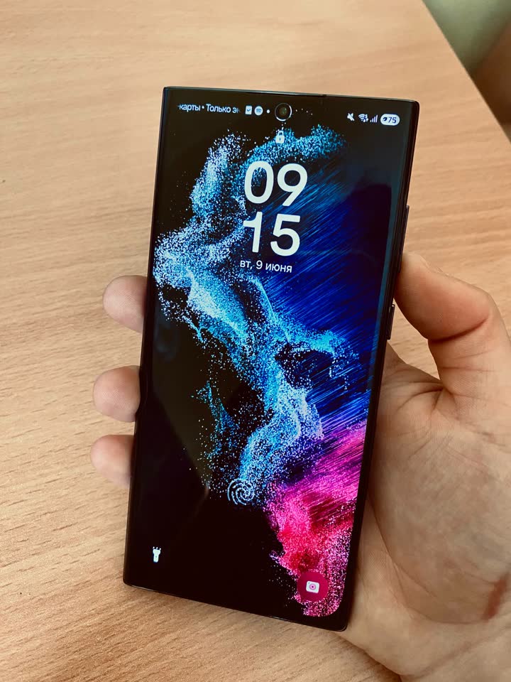 Samsung S22 Ultra 12/256GB