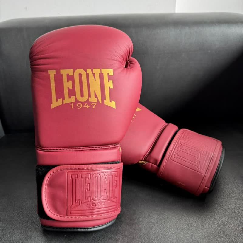 Боксерские перчатки LEONE BORDEAUX ED, 14OZ, бордовые
