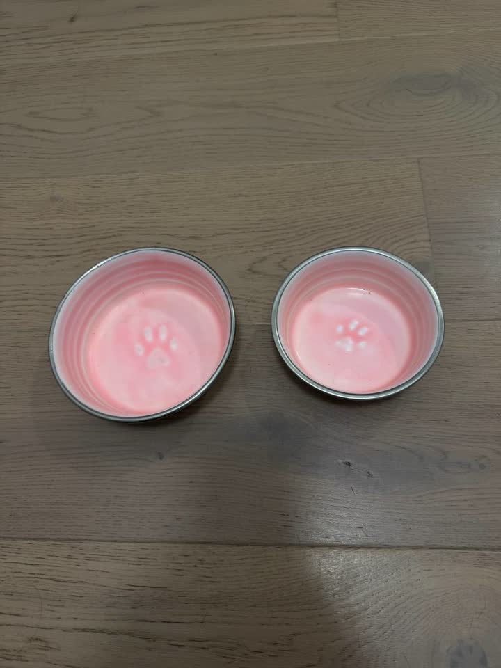 Posudice za mačku 🐈