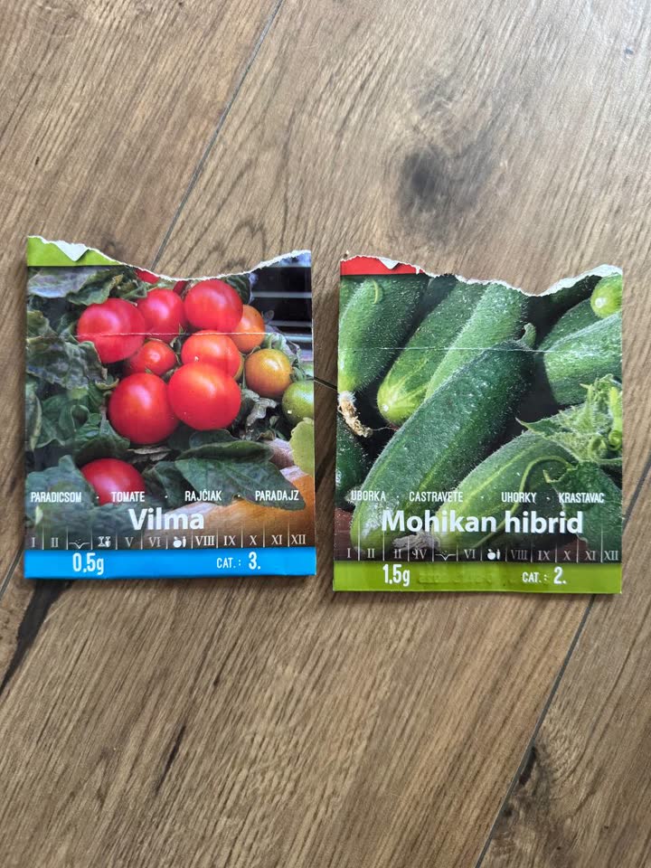 Sadnice krastavaca i cherry paradajza