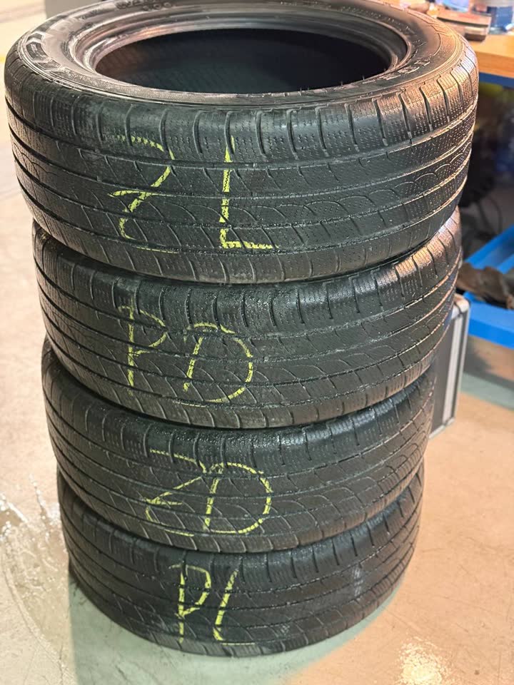 Зимние шины Minerva ICE Plus S220 255/55 R18 (2023)