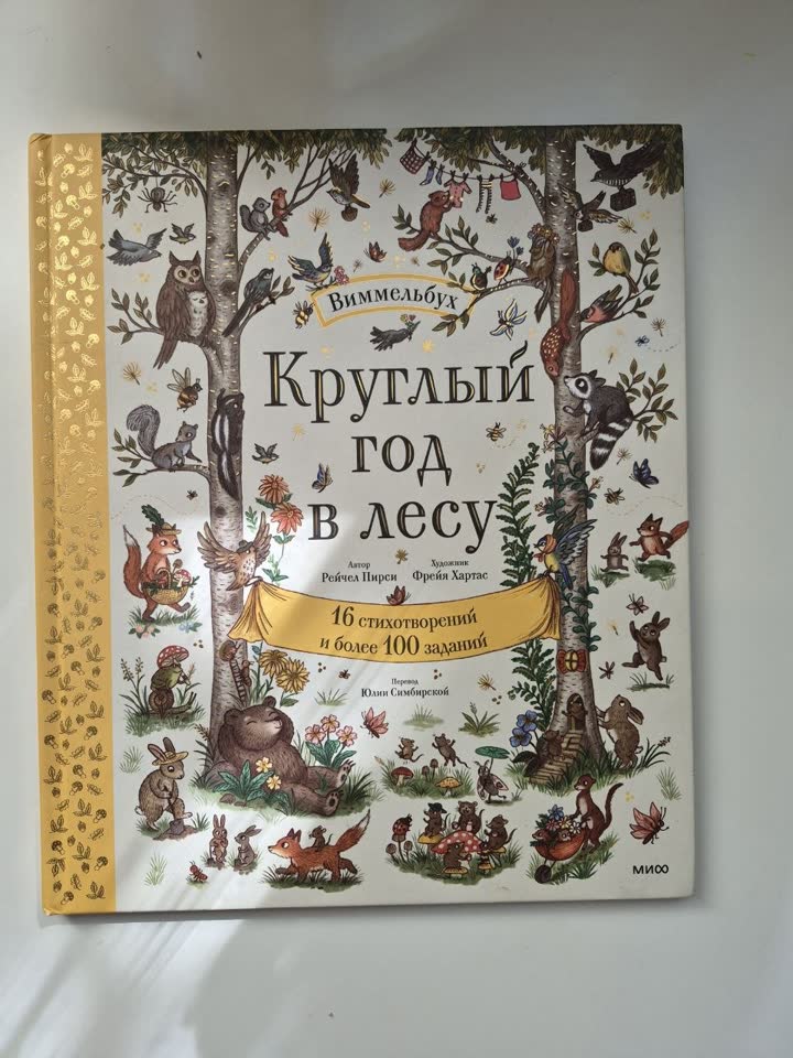 Круглый год в лесу