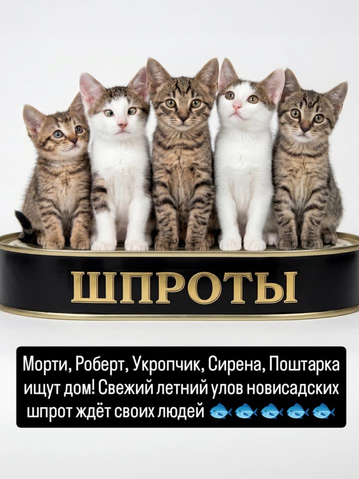Novosadski šproti prirodni u krznu traže svoje ljude