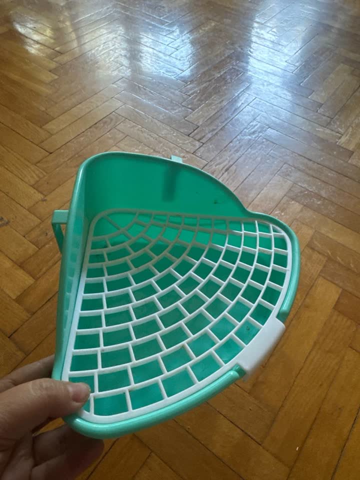 Posuda za morsko prase