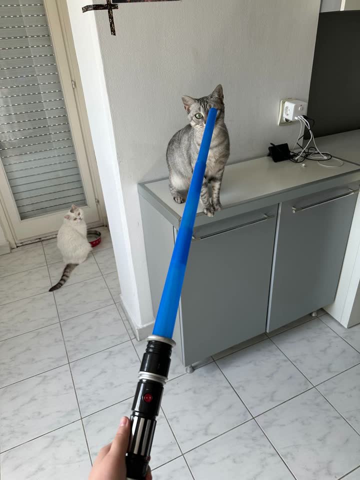 Razno