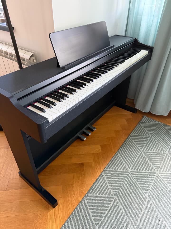 Roland RP107