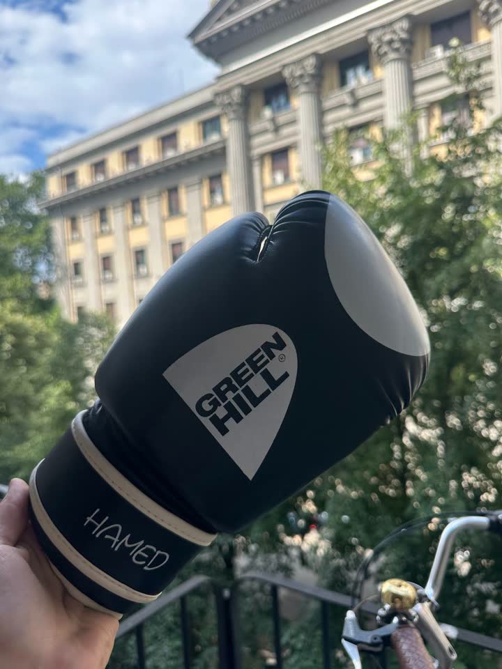 Green Hill 12 oz боксерские перчатки