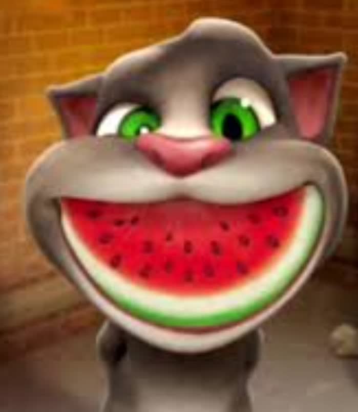 Prodajem mačka
