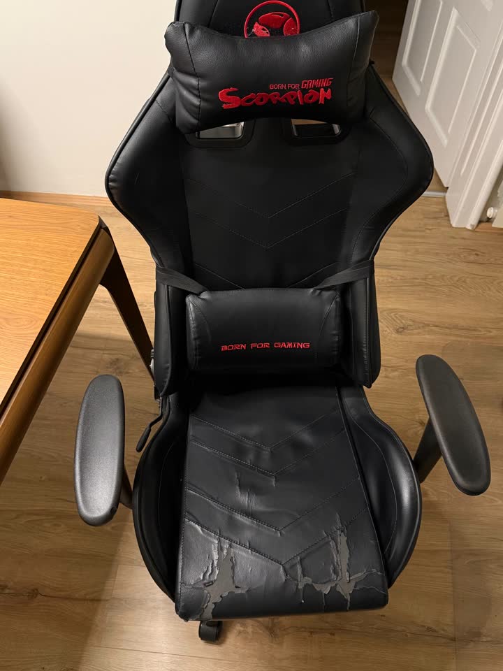 Born for Gaming Scorpion