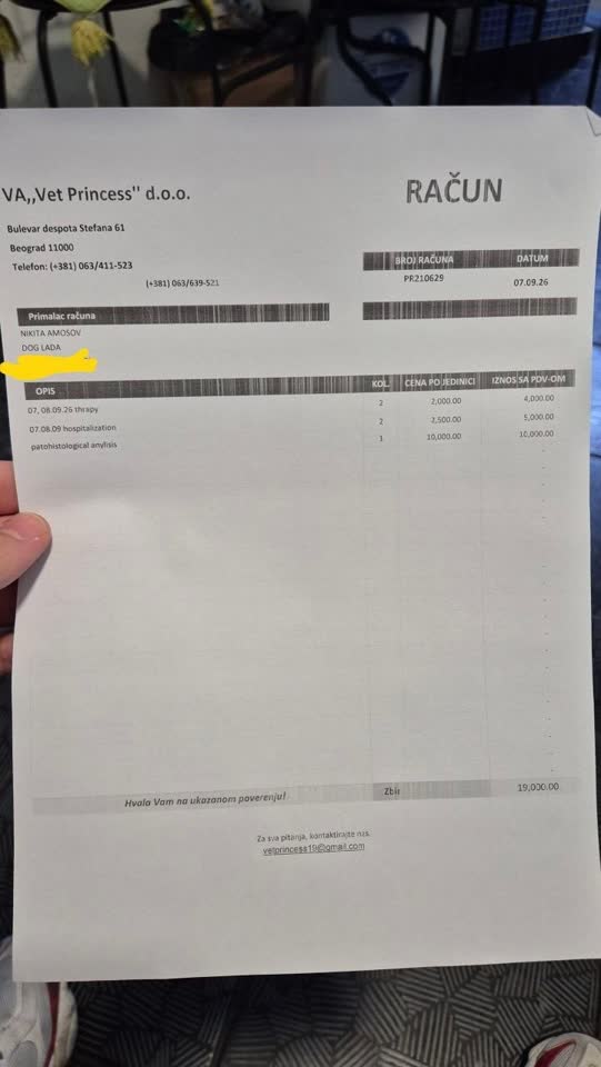 Помощь в оплате счета ветеринарной клиники для бездомной собаки