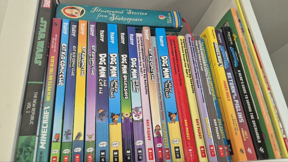 Dečje knjige na engleskom jeziku — Dog Man, Cat Kid, Captain Underpants, Minecraft i druge