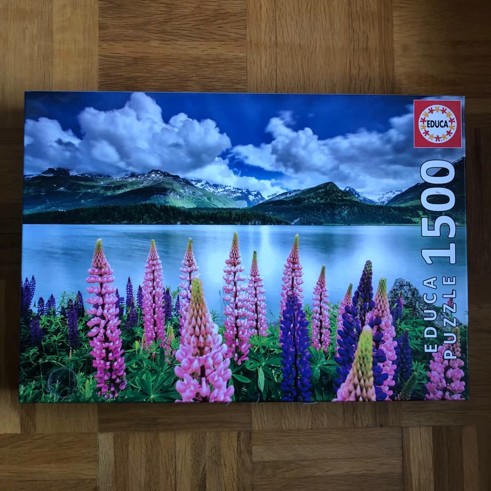 Паззл на 1500, Новый Белград