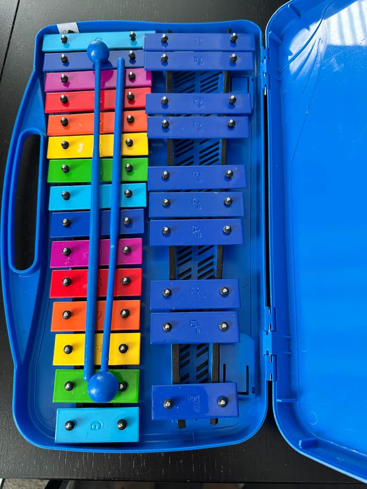 Metalofon. Kupljen za školske časove muzike u specijalizovanoj prodavnici muzičkih instrumenata. 2500 din. Novi Beograd, blok 24.