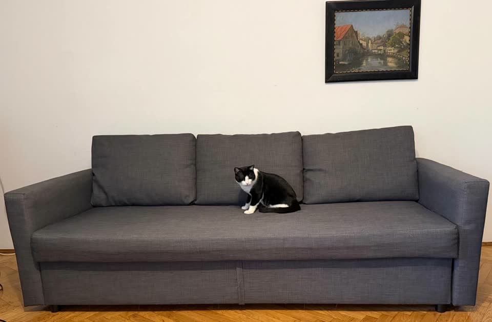 Отдадим диван IKEA вместе с котом