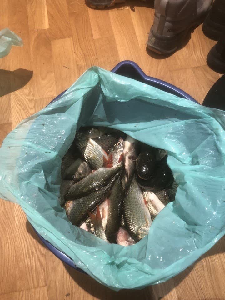 Бронь