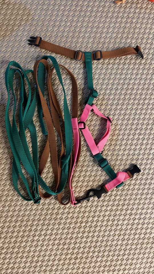 Anatomski pojas Woofinery Craft i hands free povodac-prevez