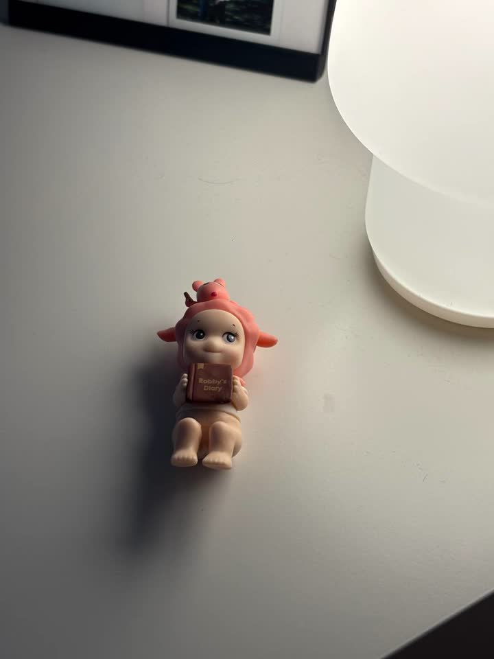 Sonny Angel Diary time